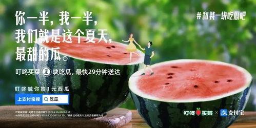 娱乐吃瓜文案视频,吃瓜群众必看的幕后花絮大放送！
